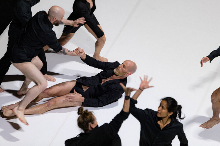 Freedom Sonata. Photo: Julia Gat.